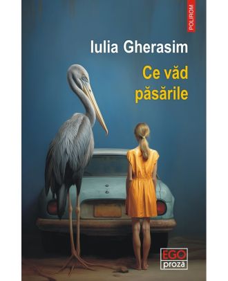 Ce văd păsările