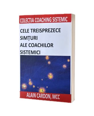 Cele treisprezece simturi ale coachilor sistemici