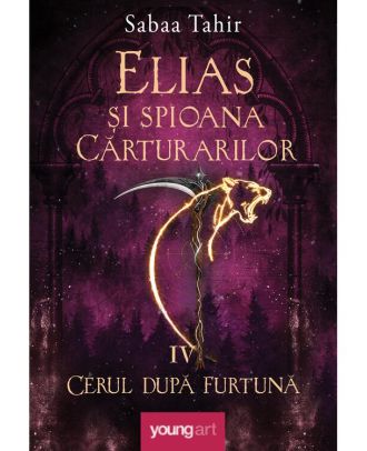 Cerul după furtună (seria Elias şi spioana Cărturarilor, vol. 4)