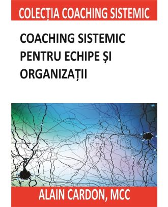 Coaching sistemic pentru echipe si organizatii