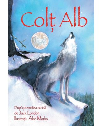 Colt Alb