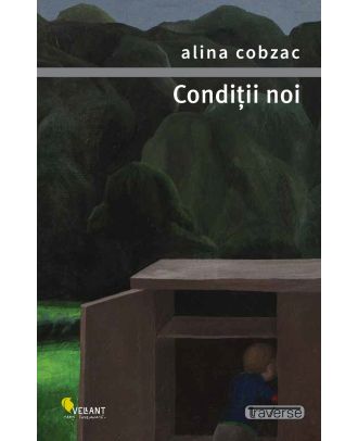 Condiții noi