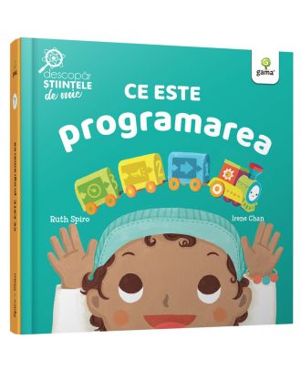 Ce este programarea