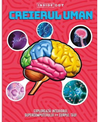 Creierul uman