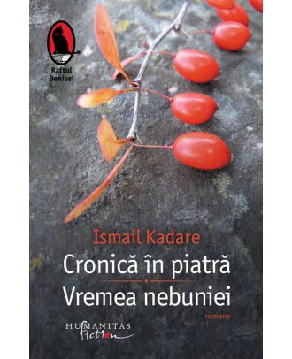 Cronică în piatră. Vremea nebuniei