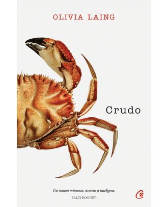 Crudo