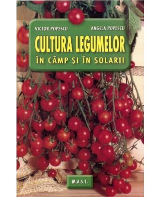 Cultura legumelor in camp si solarii