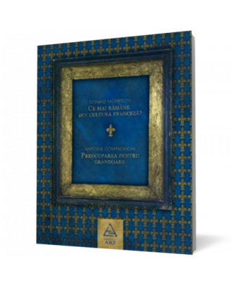 Ce mai ramane din cultura franceza - Coperta 3D