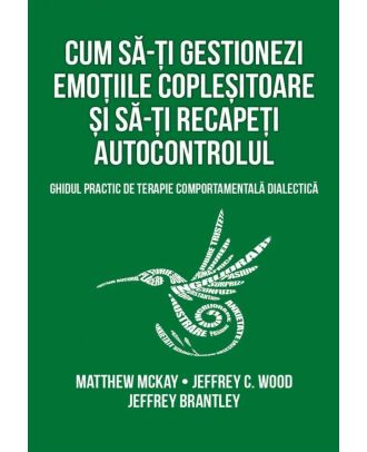 Cum sa-ti gestionezi emotiile coplesitoare si sa-ti recapeti autocontrolul