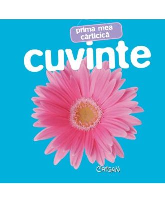 Cuvinte. Prima mea cărticică
