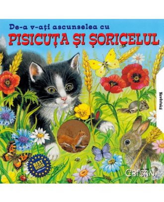 De-a v-ati ascunselea cu pisicuta si soricelul