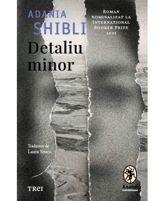 Detaliu minor