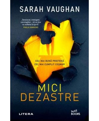 Mici dezastre