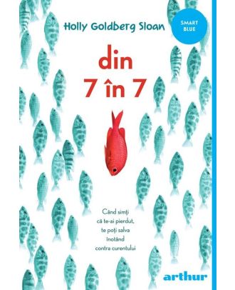 Din 7 in 7