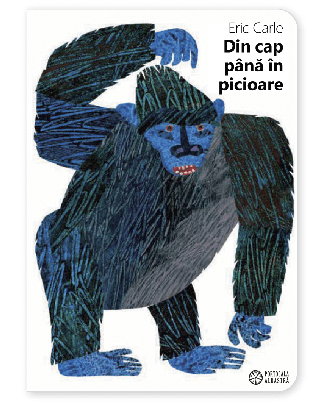 Din cap până în picioare