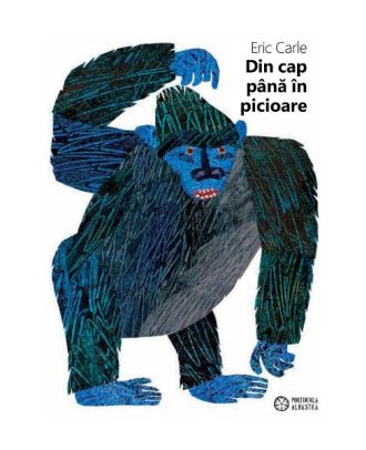 Din cap până în picioare
