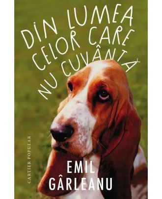 Din lumea celor care nu cuvântă