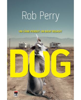 Dog. Un câine pierdut, un băiat regăsit