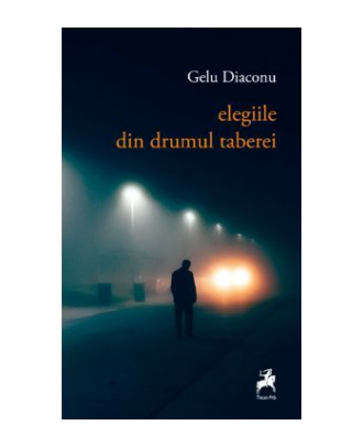 Elegiile din Drumul Taberei