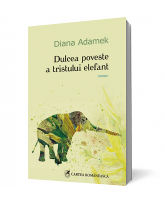 Dulcea poveste - Coperta 3D