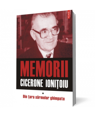 Memorii - Coperta 3D