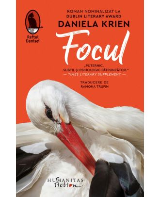 Focul