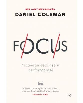 Focus. Motivatia ascunsa a performantei