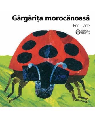 Gargarita morocanoasa