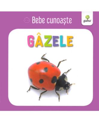 Gazele. Bebe cunoaste