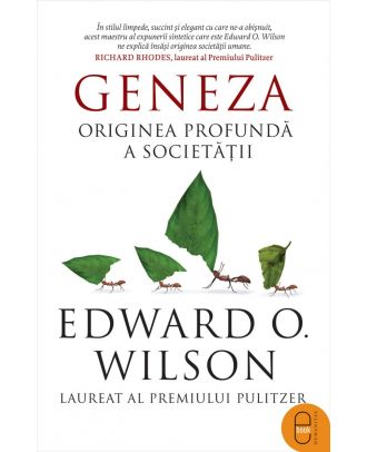Geneza. Originea profundă a societății (ebook)