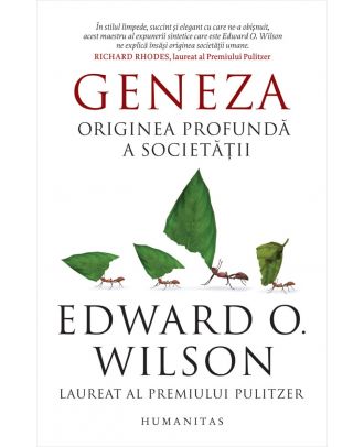Geneza. Originea profundă a societății