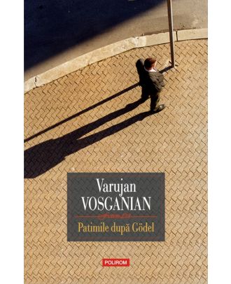 Patimile după Gödel