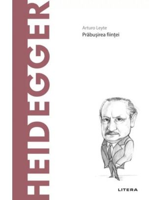 Descopera filosofia. Heidegger