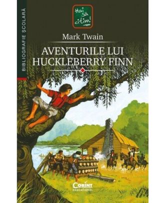 Aventurile lui Huckleberry Finn