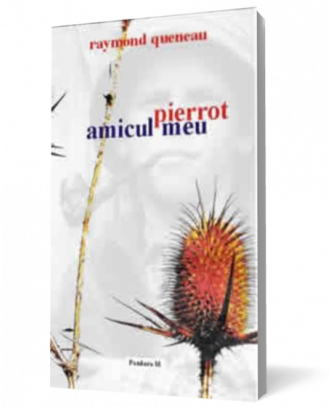 Pierrot amicul meu - Coperta 3D