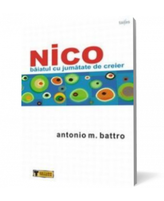 Nico, baiatul cu jumatate de creier - Coperta 3D