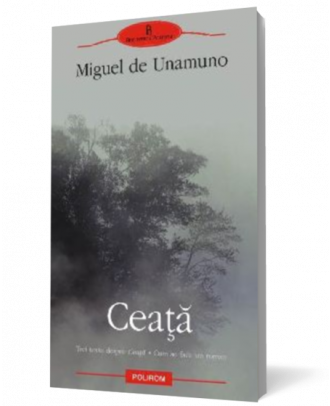 Ceata. Trei texte despre Ceata. Cum se face un roman - Coperta 3D