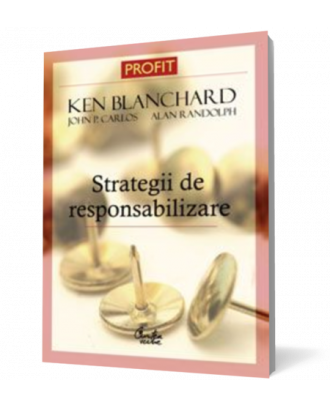 Strategii de responsabilizare a membrilor unei organizatii - Coperta 3D