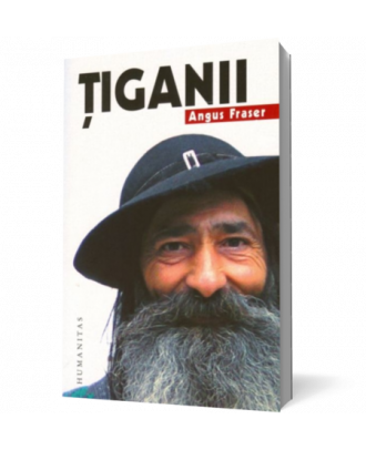 Tiganii - Coperta 3D