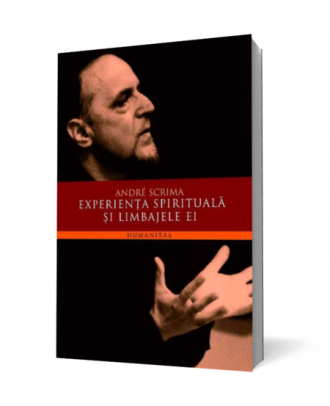 Experienta spirituala si limbajele ei - Coperta 3D