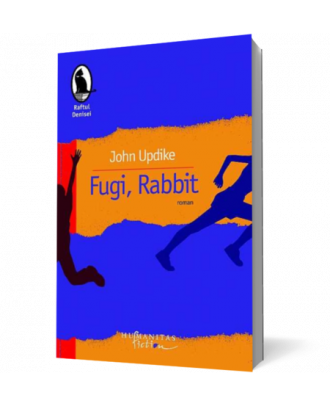 Fugi, Rabbit - Coperta 3D