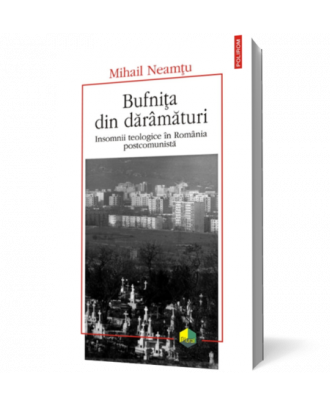 Bufniţa din dărâmături - Coperta 3D