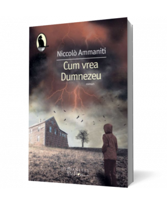 Cum vrea Dumnezeu - Coperta 3D