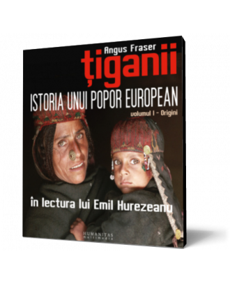 Ţiganii. Volumul I: Origini - Coperta 3D