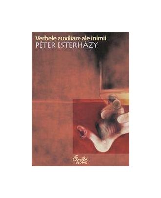 Verbele auxiliare ale inimii - introducere in beletristica - Coperta