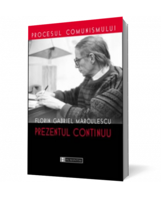 Prezentul continuu - Coperta 3D