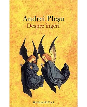 Despre îngeri - Coperta