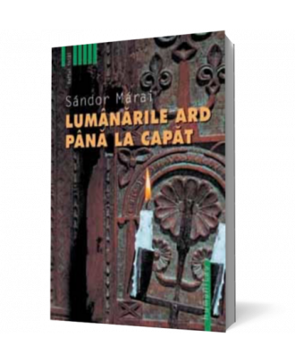 Lumanarile ard pana la capat - Coperta 3D