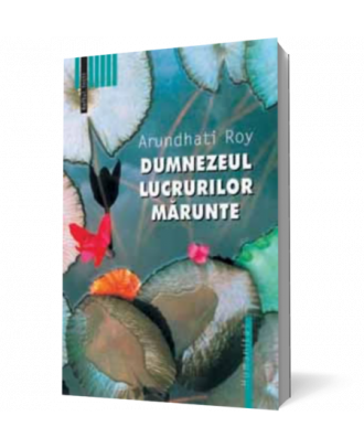 Dumnezeul lucrurilor marunte - Coperta 3D