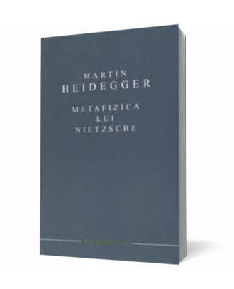 Metafizica lui Nietzsche - Coperta 3D